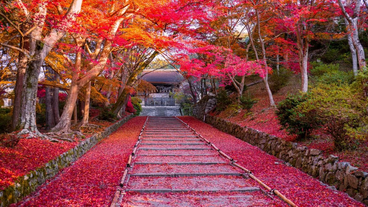 Your Rights When Dealing With Police Abroad