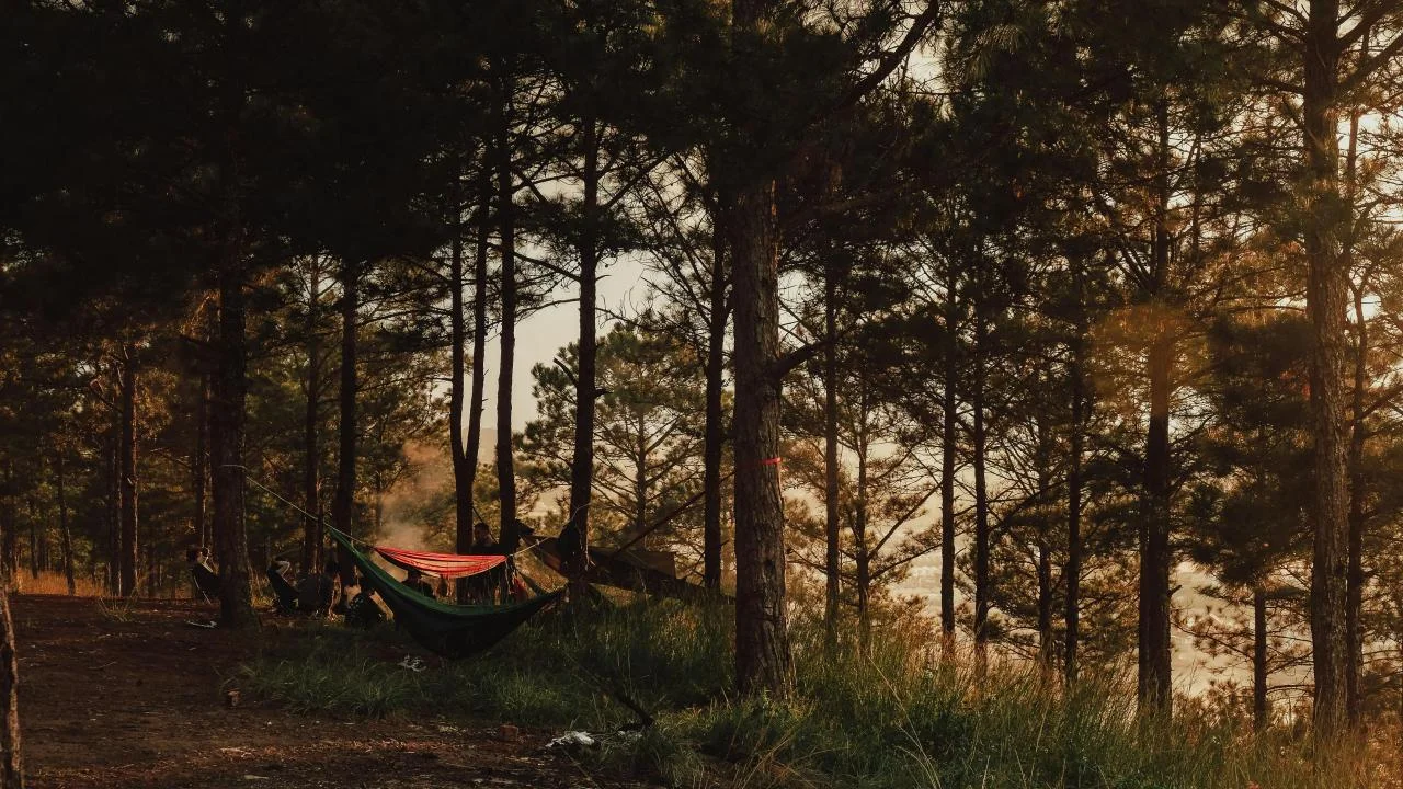 What Makes a Neighborhood Feel Like Home