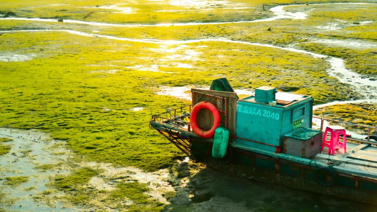 The Hobby Groups That Welcome International Newcomers