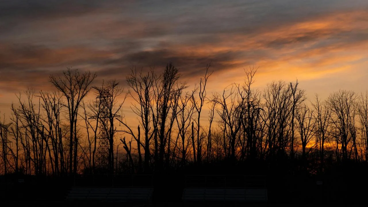 The Language Exchange That Changes Everything