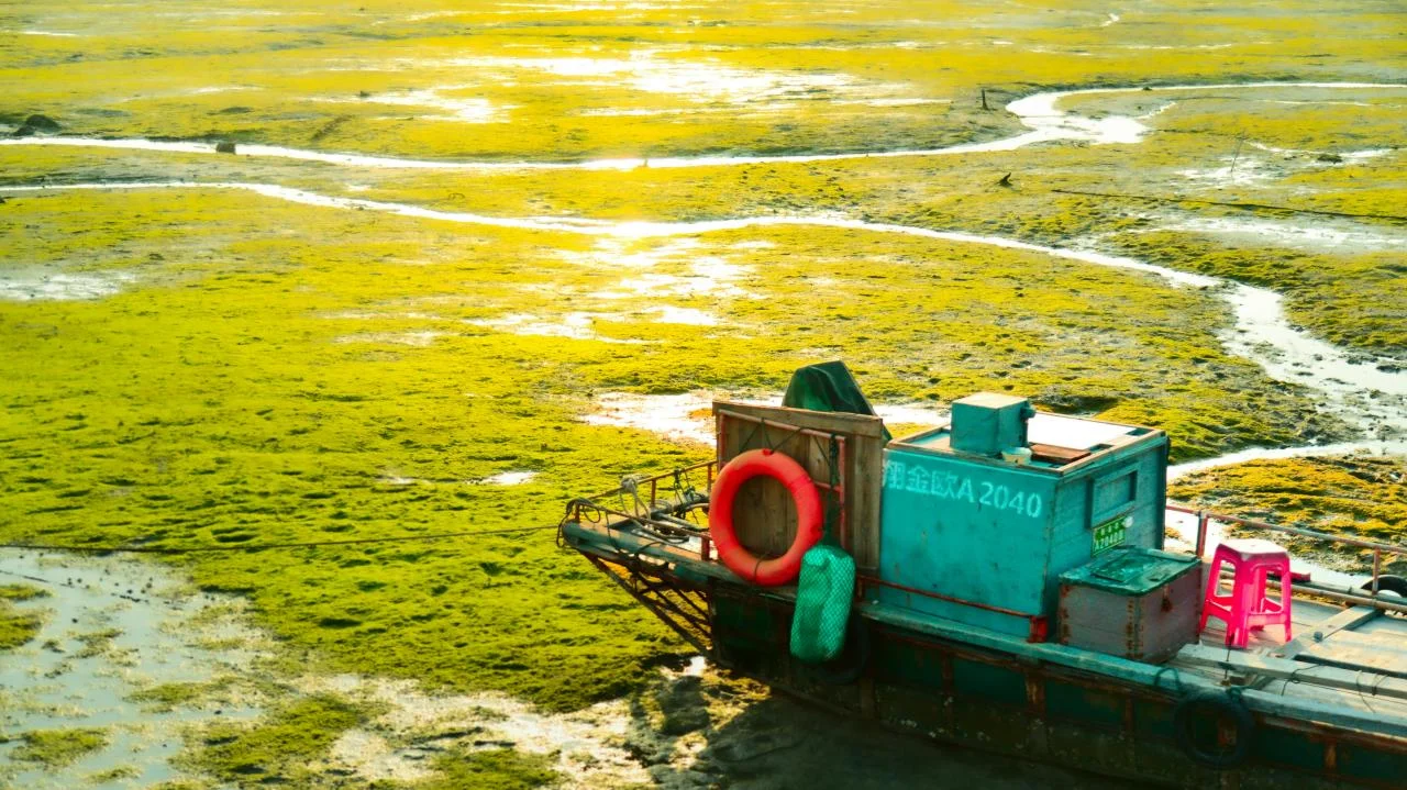 The Emergency Kit Every Expat Needs but Most Skip